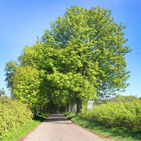 Eigene Sauna, Moderne In Wassernaehe Mit Meerblick - Heimathafen, Gratis Nutzung Vom Ahoi Erlebnisbad Und Sauna In Sellin Apartmán